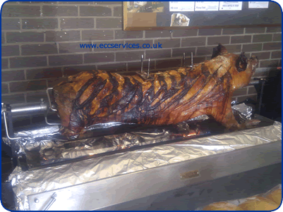 pig roasted on a spit