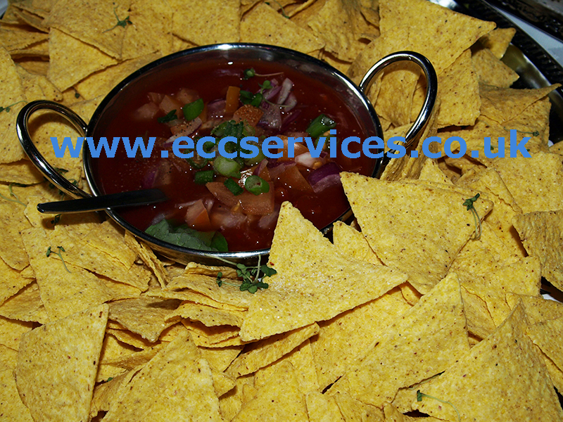 large photo of our nachos and salsa