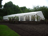 wedding marquee